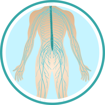 peripheral-nerves-disorder